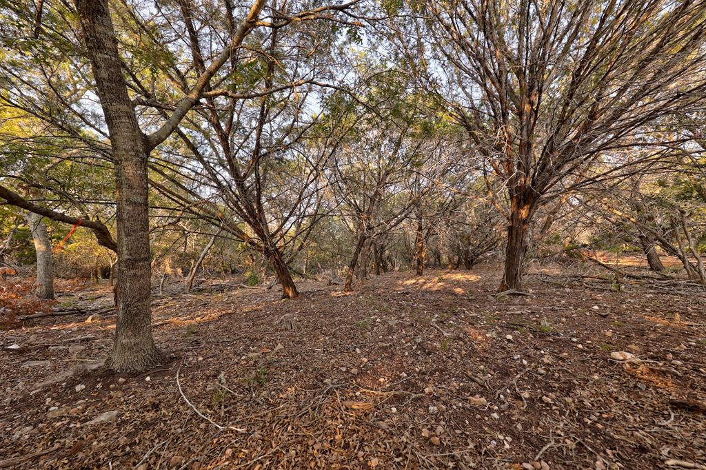 157 Cedar Cliff Loop # 7 Property Photo 28