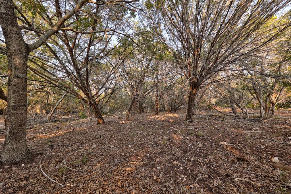 157 Cedar Cliff Loop # 7 Property Photo 29