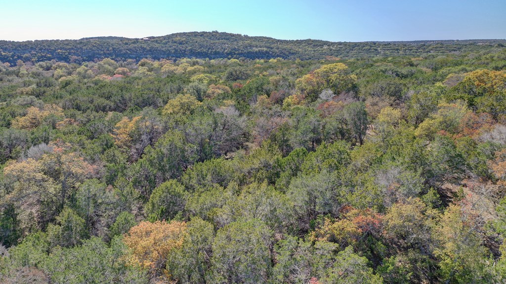 157 Cedar Cliff Loop # 7 Property Photo 31