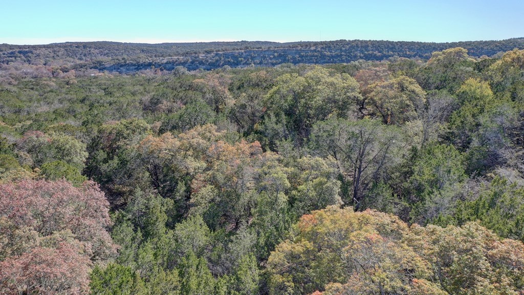 157 Cedar Cliff Loop # 7 Property Photo 32