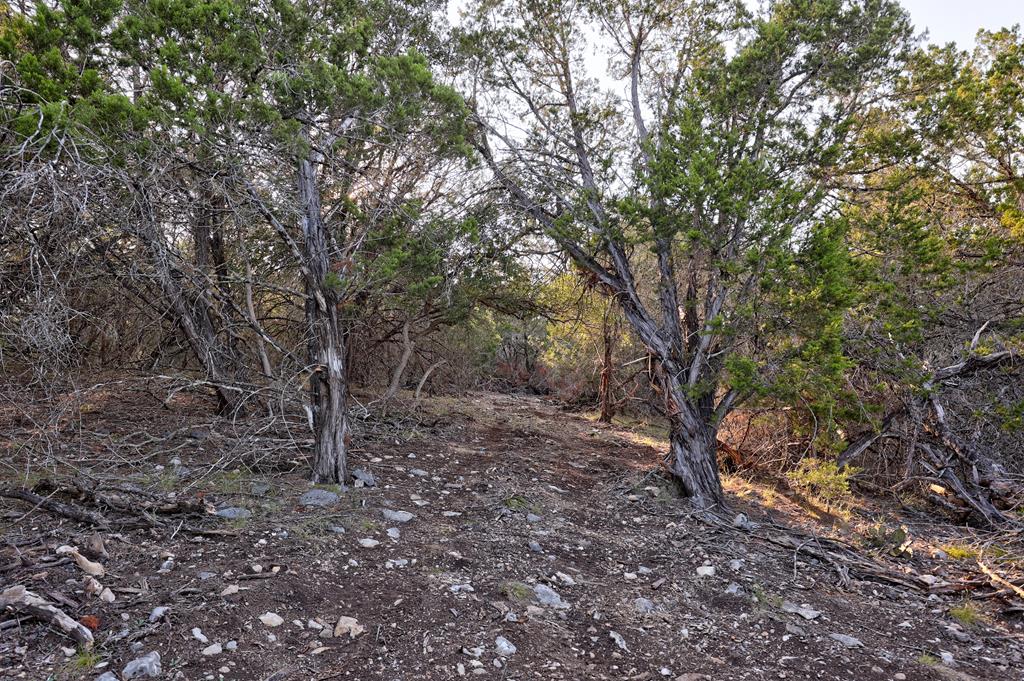 157 Cedar Cliff Loop # 7 Property Photo 33
