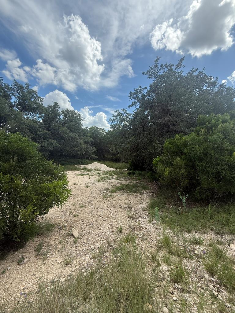 197 Rainbow Dr