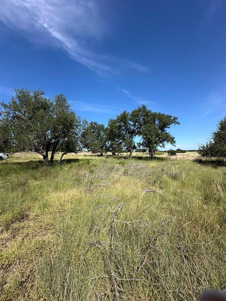 123 Lipan Loop # 15