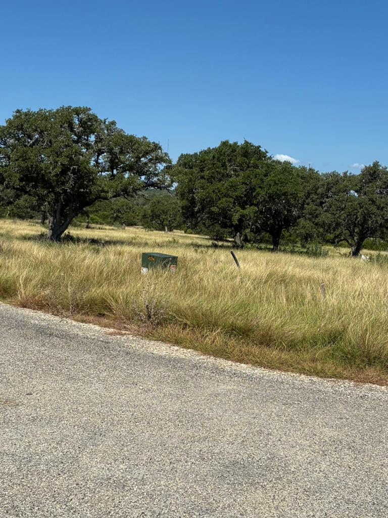 Lot 62 Ne Fm 783 # 62 Property Photo 1