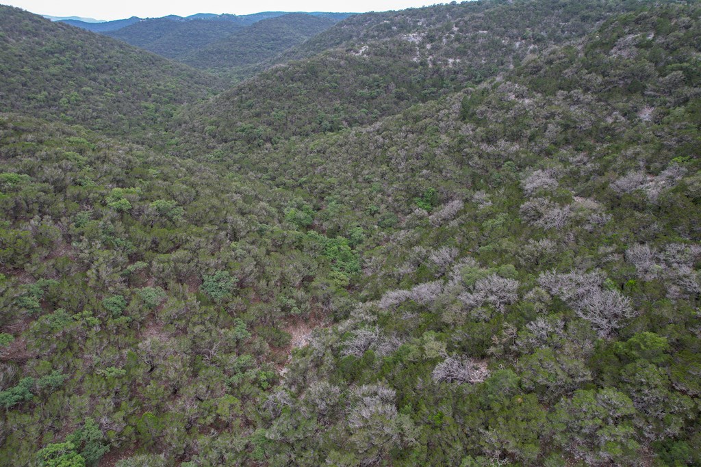 824 Pinon Loop Property Photo 2