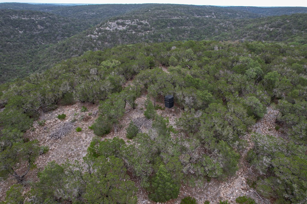 824 Pinon Loop Property Photo 6