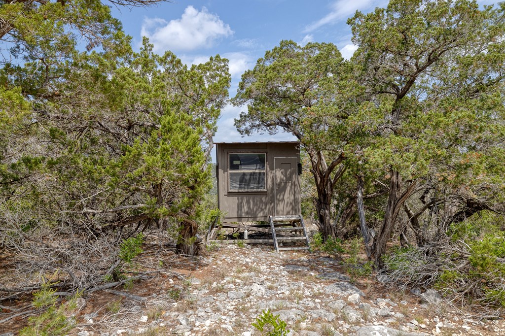 824 Pinon Loop Property Photo 18
