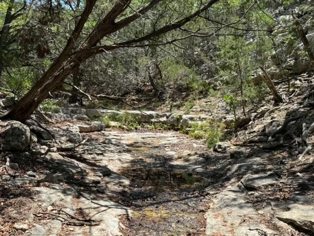 824 Pinon Loop Property Photo 38