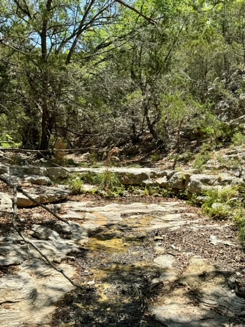 824 Pinon Loop Property Photo 39