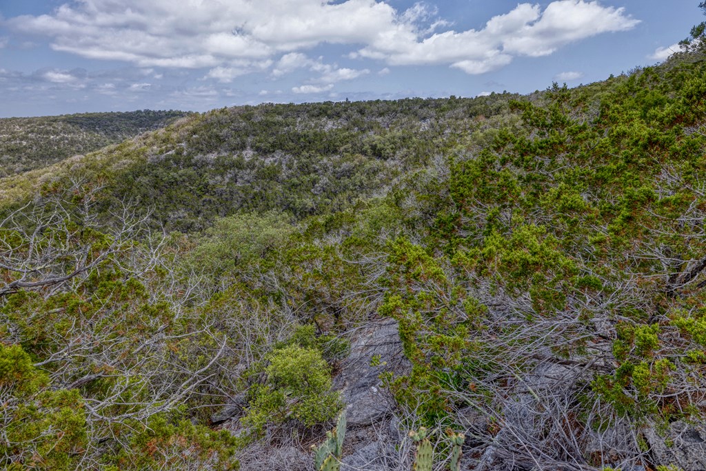 824 Pinon Loop Property Photo 41