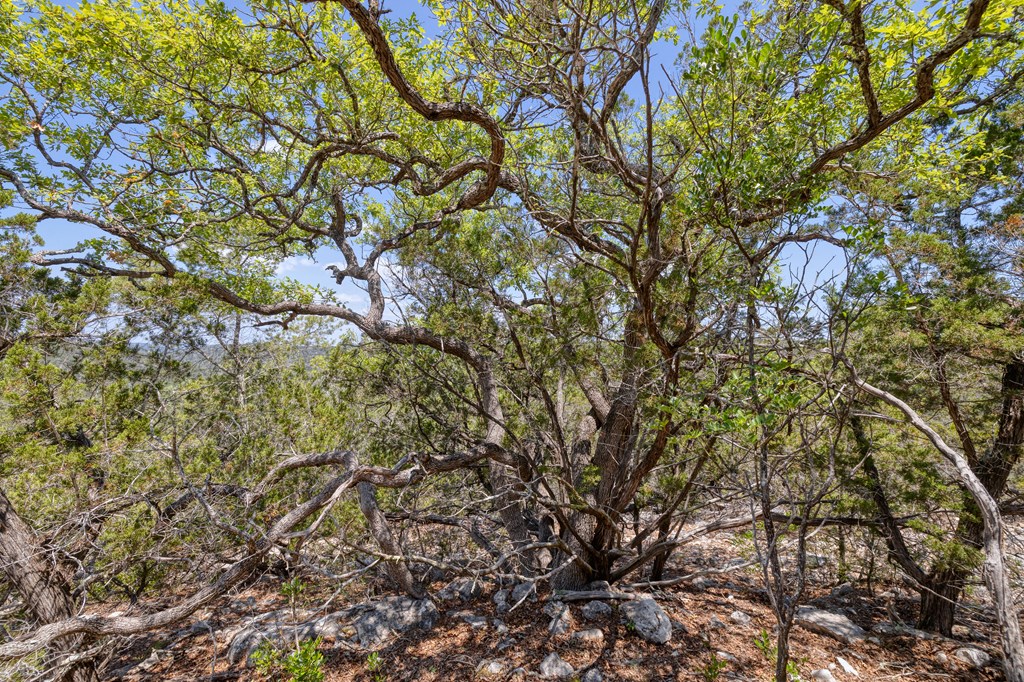 824 Pinon Loop Property Photo 42