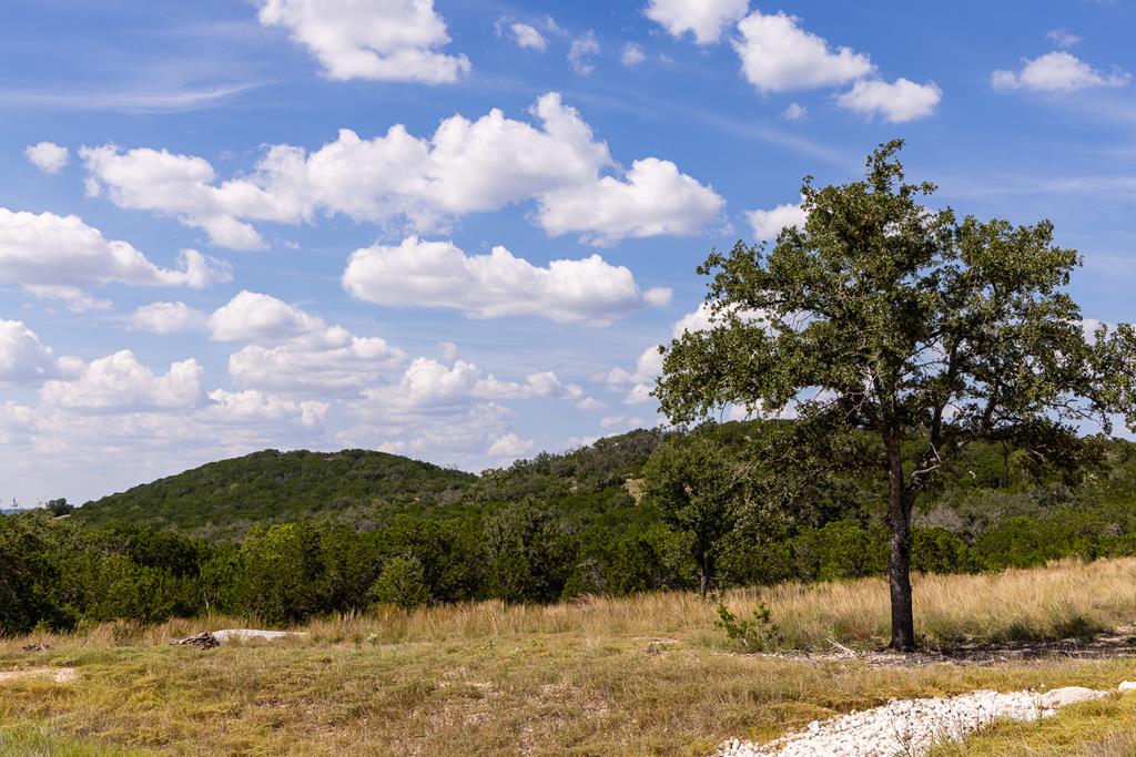 376 Dark Sky Path Property Photo 19
