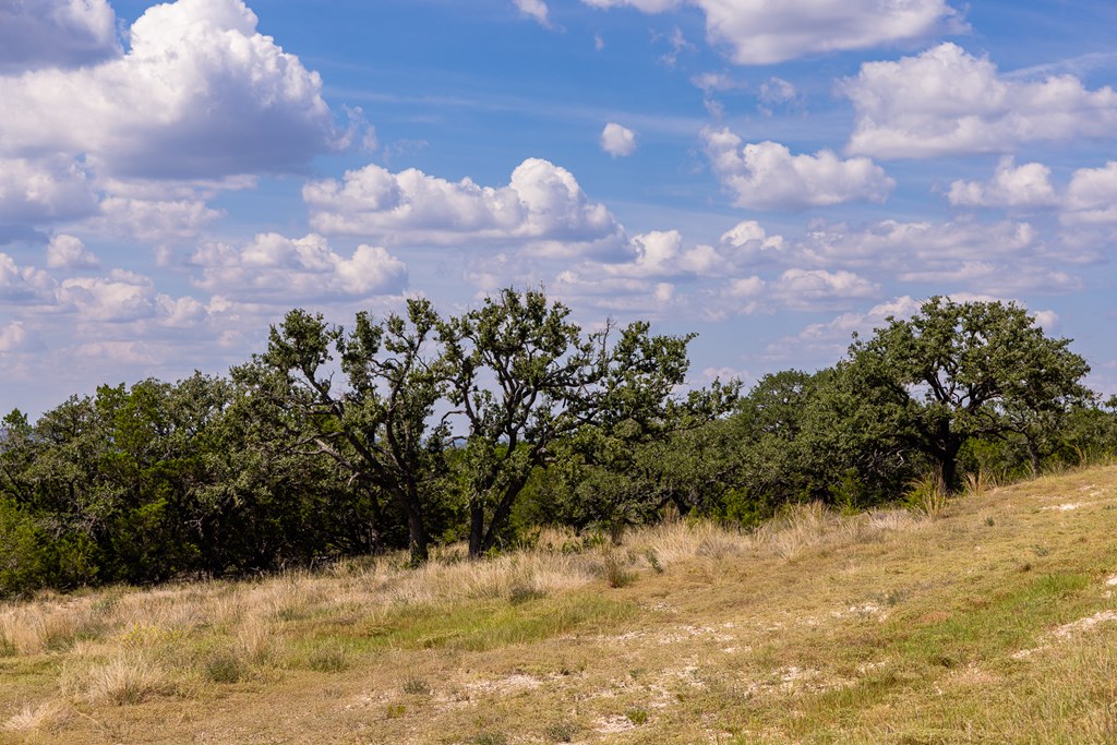 192 Dark Sky Path Property Photo 17