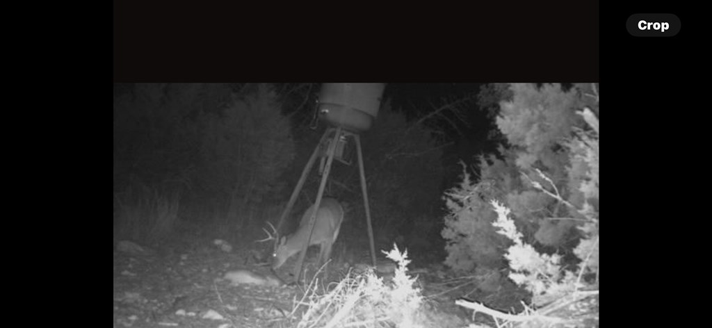 0 Fairview Rd Property Photo 3