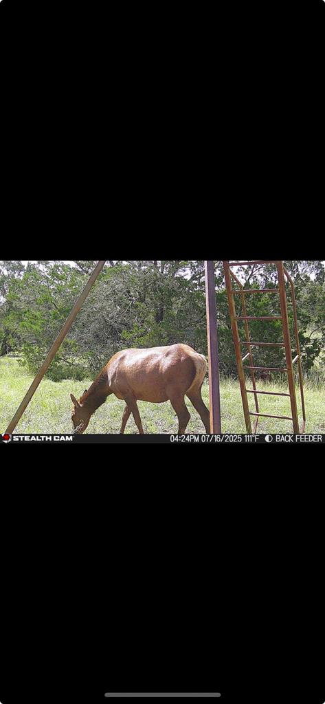 0 Fairview Rd Property Photo 27