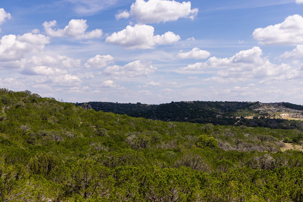 312 Dark Sky Path Property Photo 6