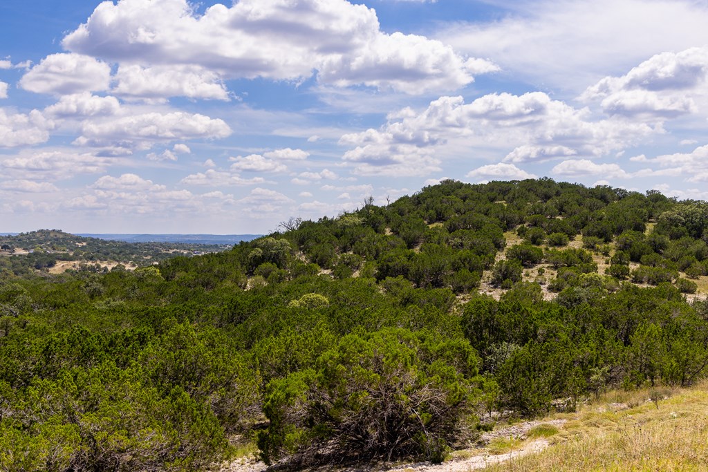 496 Dark Sky Path Property Photo 5
