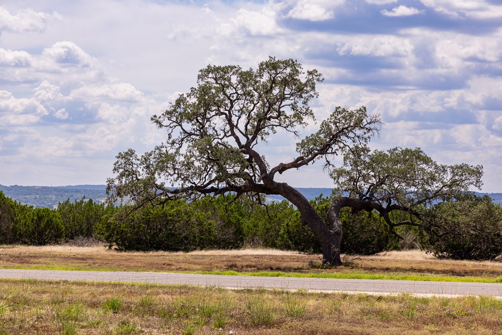 496 Dark Sky Path Property Photo 12