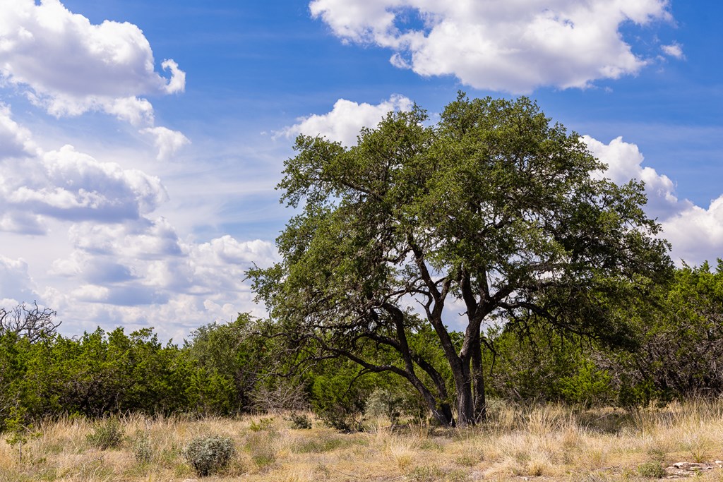 496 Dark Sky Path Property Photo 18