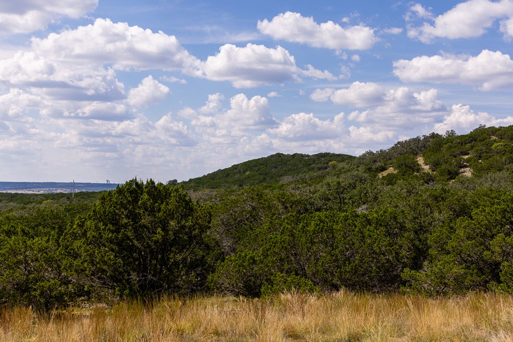 496 Dark Sky Path Property Photo 21