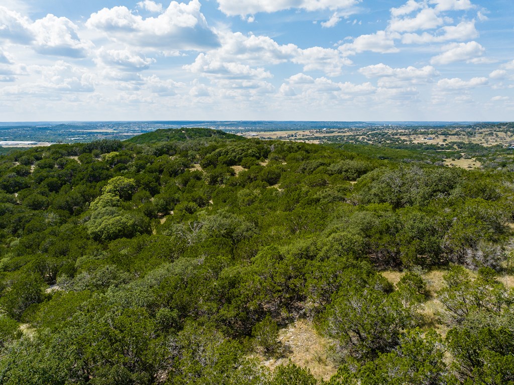 496 Dark Sky Path Property Photo 28