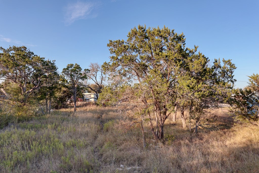 00 Dian Dr # A Property Photo 2