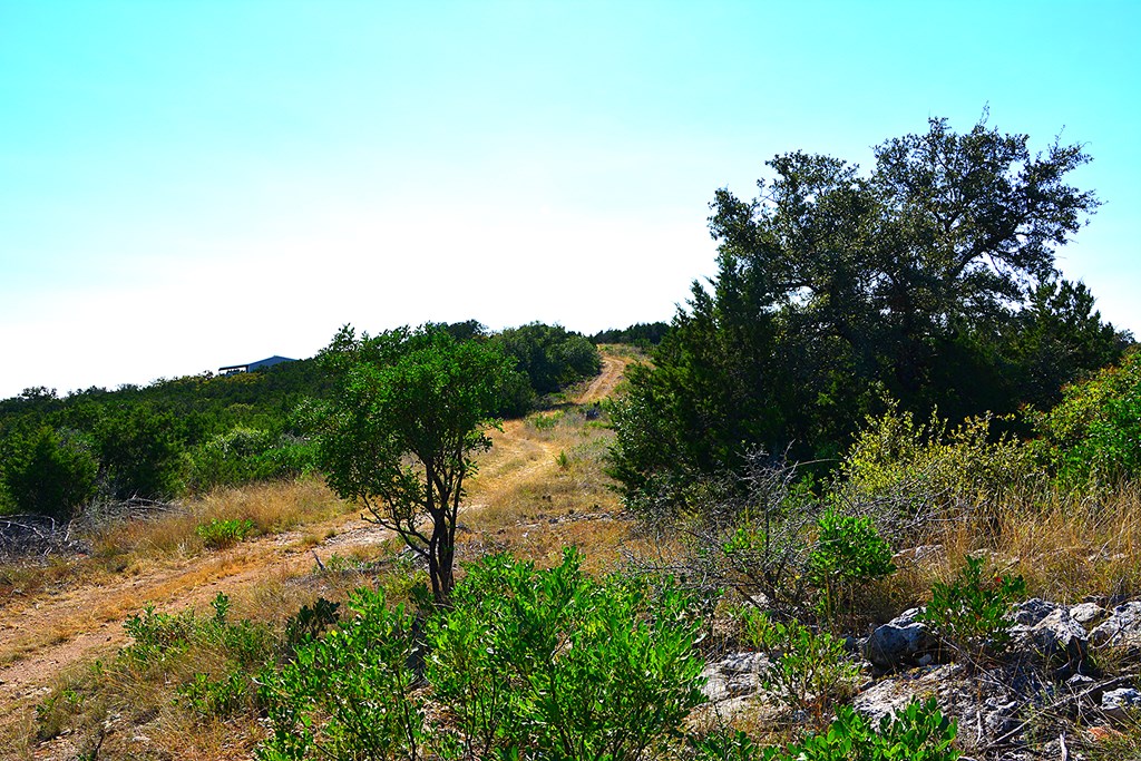 Tbd Other Property Photo 38