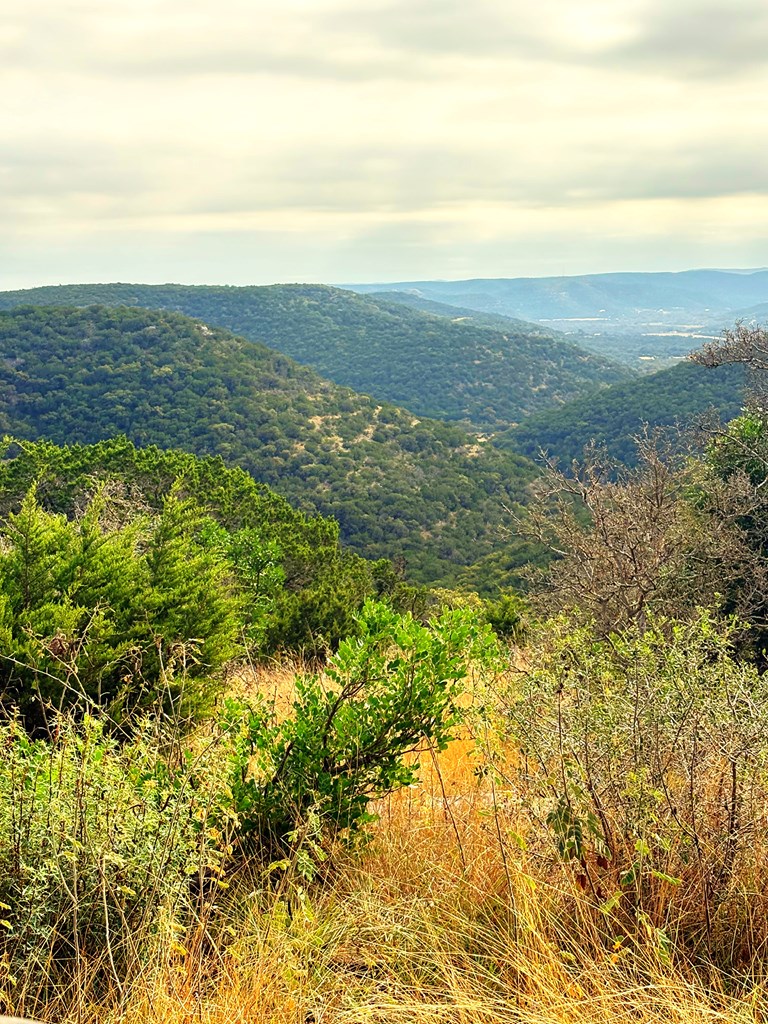 Tbd Other Property Photo 46