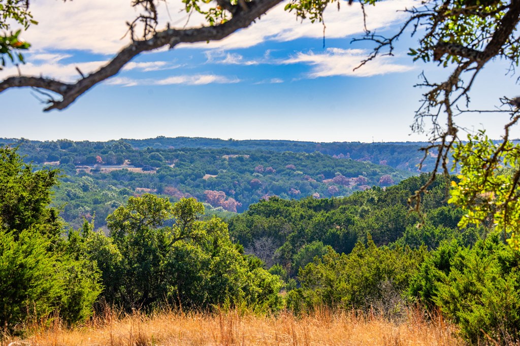 Lot 130 Dillon Ridge Dr Property Photo 4