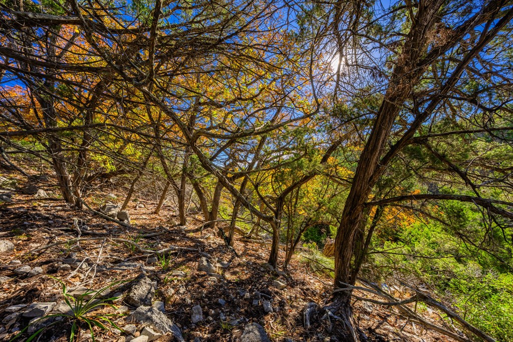 Lot 130 Dillon Ridge Dr Property Photo 6