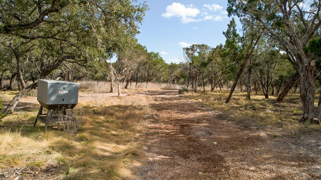 196 B Rock Bottom Road Property Photo 42