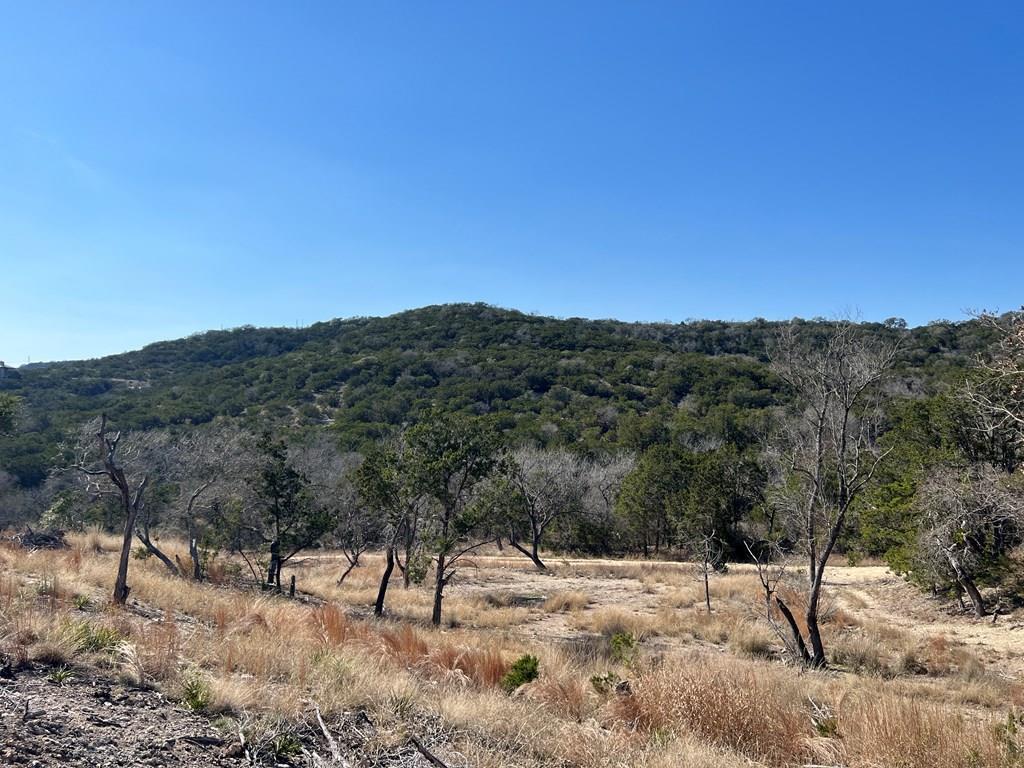 191 Scott Dr # 58 Property Photo 6