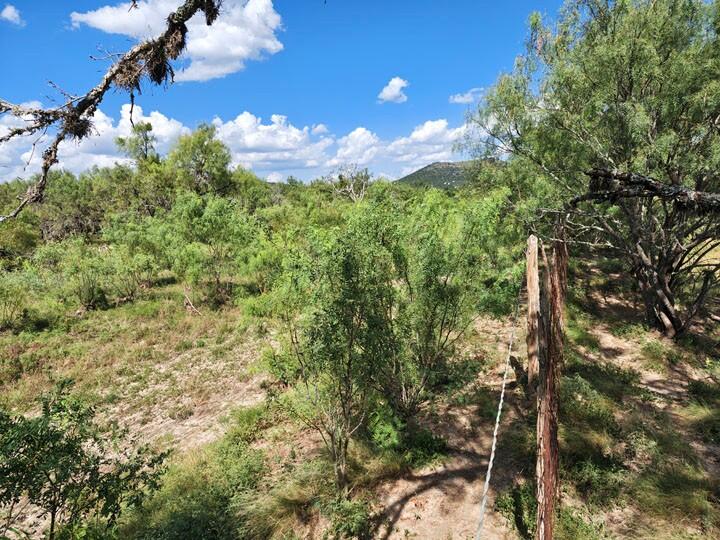 254 Possum Haw Holly Trail # 2a Property Photo 8