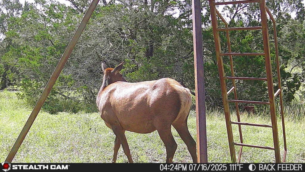 462 Schenk-witkowski Rd Property Photo 5