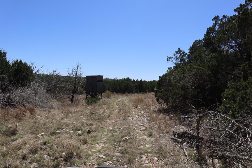 462 Schenk-witkowski Rd Property Photo 31