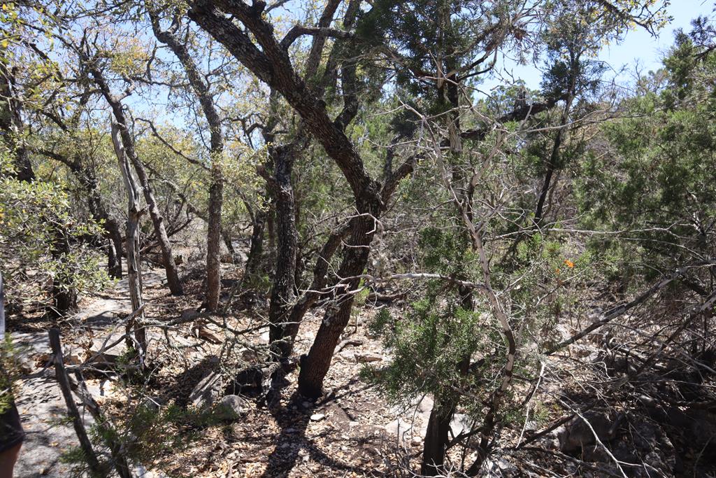 462 Schenk-witkowski Rd Property Photo 42