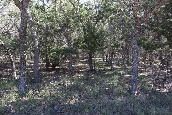 317 Swayze Rd Property Photo 5