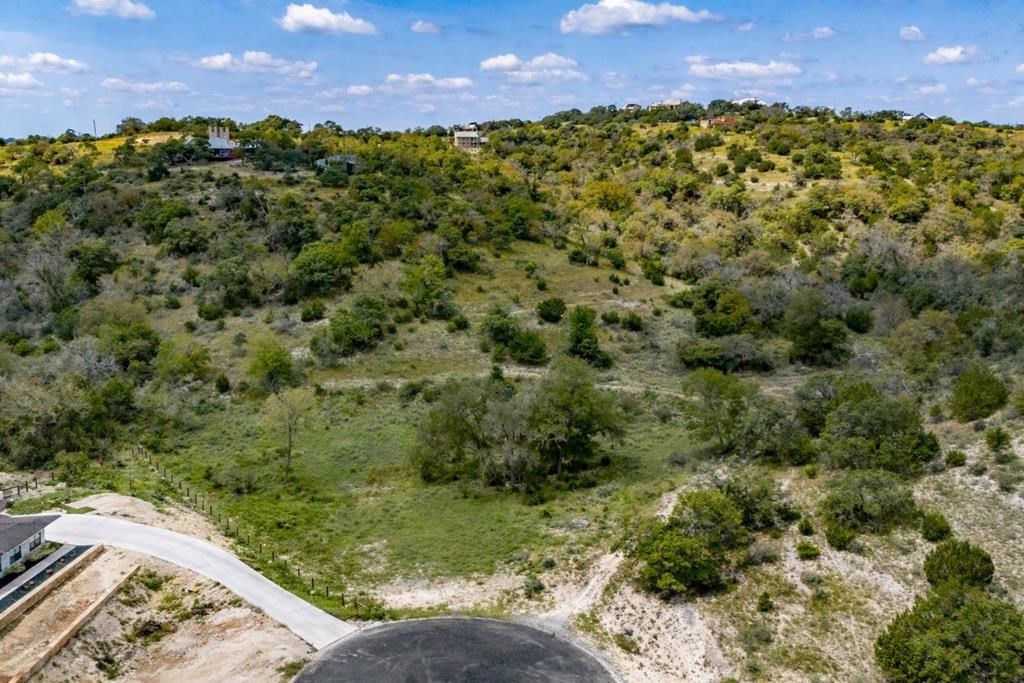 130 Dripping Spring Property Photo 14