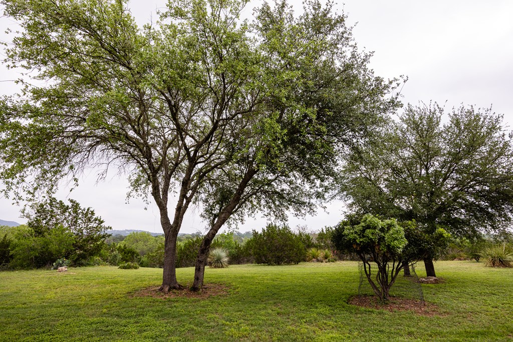 1897 Kyle Ranch Rd Property Photo 25