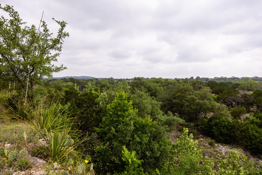 1897 Kyle Ranch Rd Property Photo 31