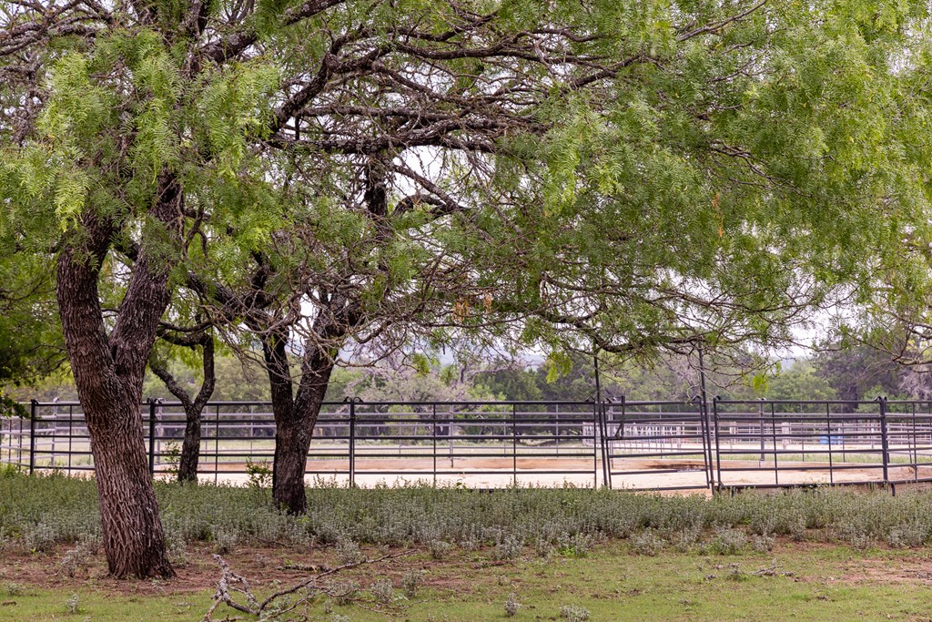 1897 Kyle Ranch Rd Property Photo 46