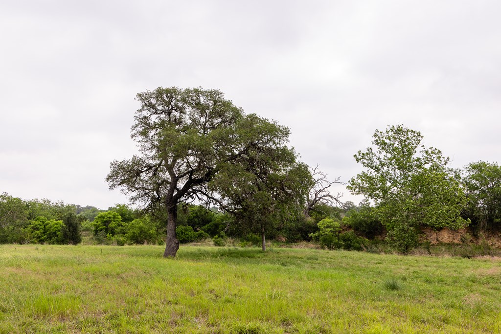 1897 Kyle Ranch Rd Property Photo 48