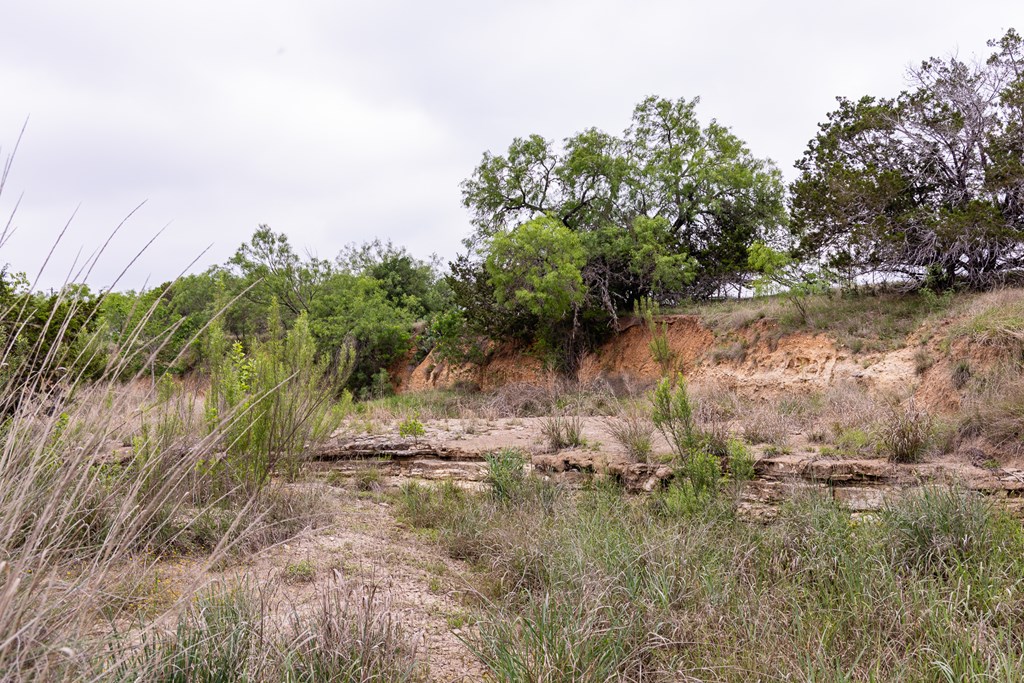 1897 Kyle Ranch Rd Property Photo 49