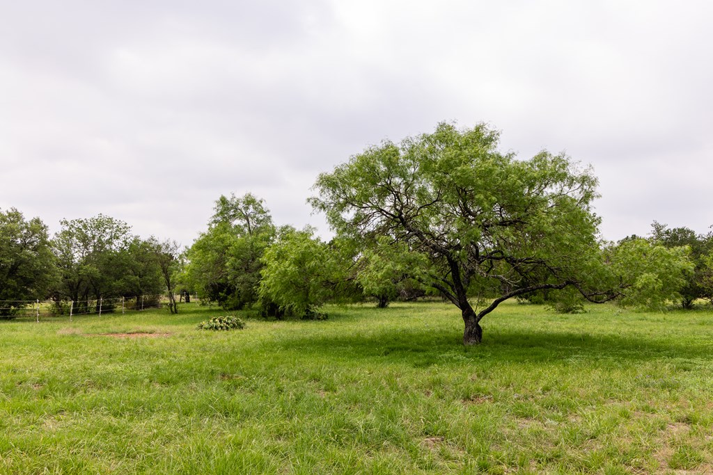 1897 Kyle Ranch Rd Property Photo 51