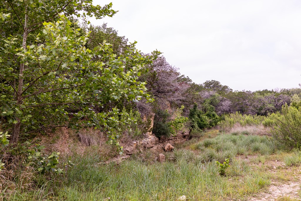 1897 Kyle Ranch Rd Property Photo 52