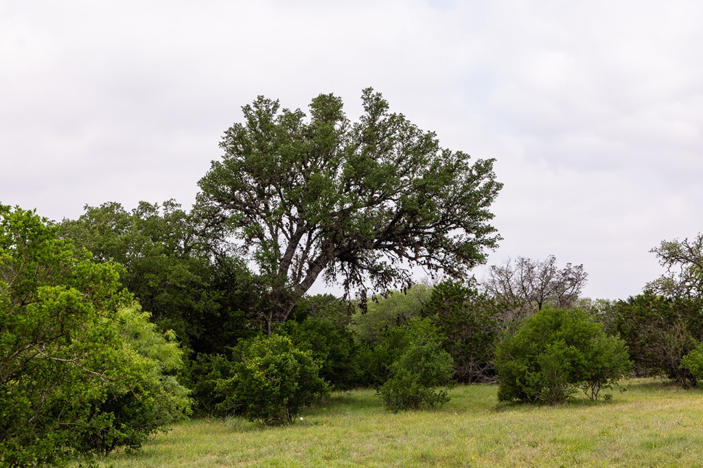 1897 Kyle Ranch Rd Property Photo 53