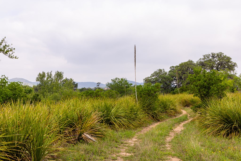 1897 Kyle Ranch Rd Property Photo 57