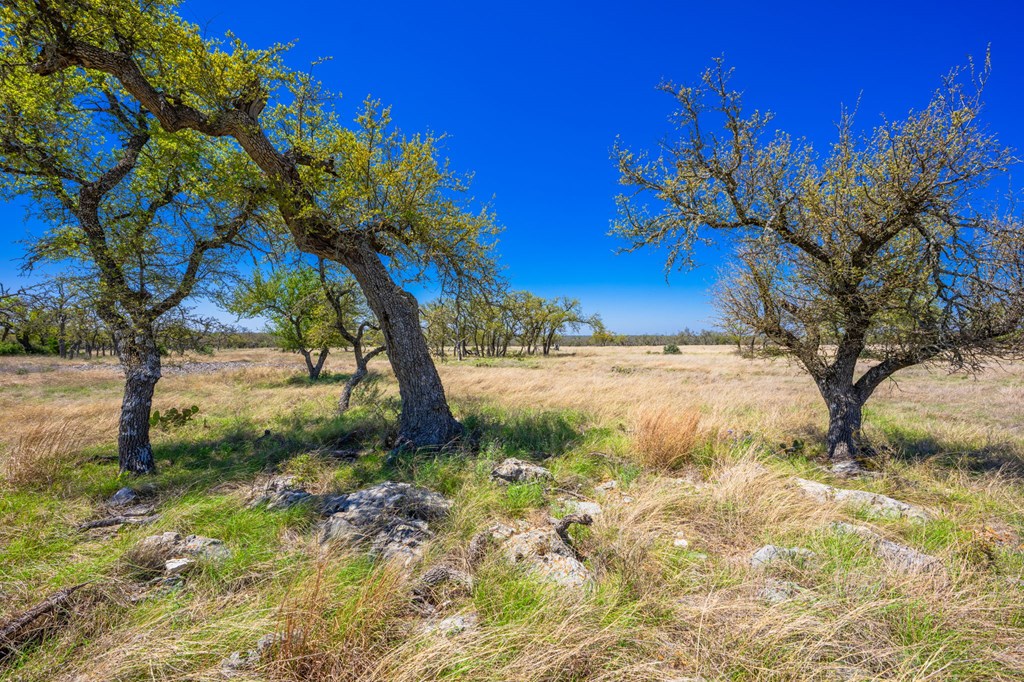 Lot 114 Stock Pond Dr # 114 Property Photo 4