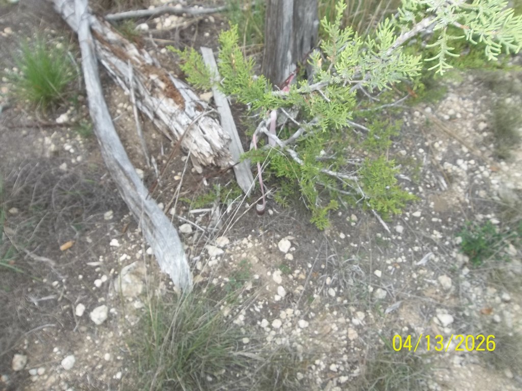Tbd Mesa Verde # 2 Property Photo 10