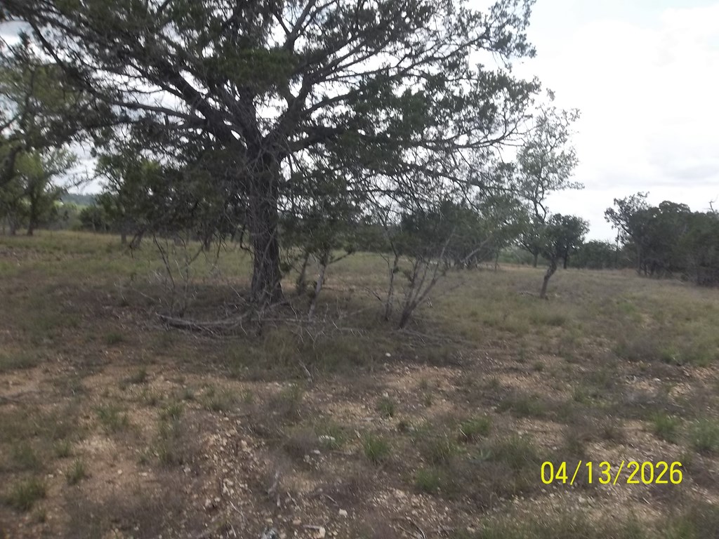 Tbd Mesa Verde # 2 Property Photo 11